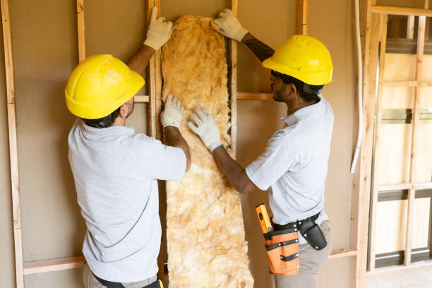 Best Radiant Barrier Insulation  in Vidor, TX